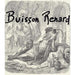 Buisson Renard 2018 Domaine Didier Dagueneau - Newport Wine & Spirits