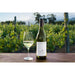 Cloudy Bay Sauvignon Blanc - Newport Wine & Spirits