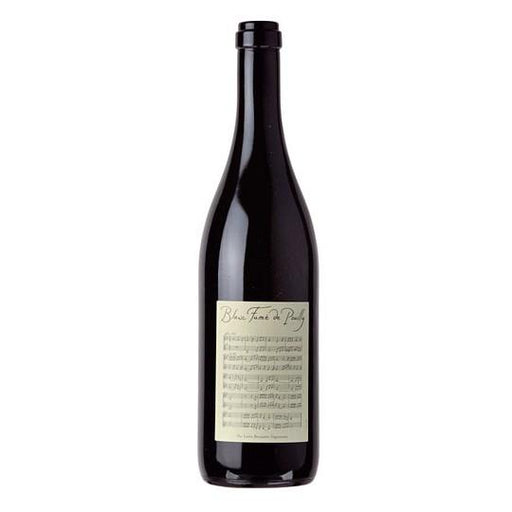 Domaine Didier Dagueneau Blanc Fume De Pouilly Sauvignon Blanc - Newport Wine & Spirits