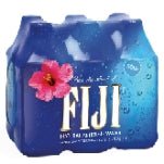 Fiji Natural Artesian Water, 16.9 Fl. Oz. - Newport Wine & Spirits