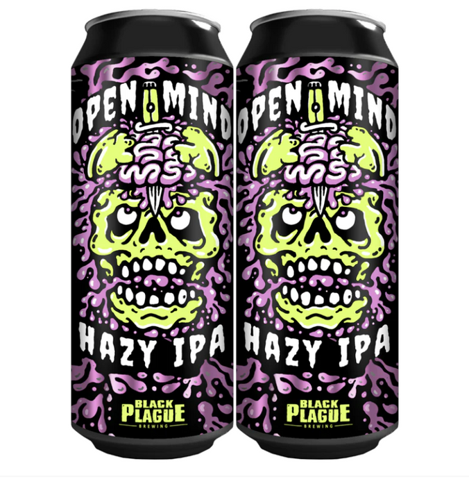 Open Mind Hazy IPA 4pk