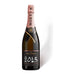 Moët & Chandon Grand Vintage Rosé 2013 - Newport Wine & Spirits